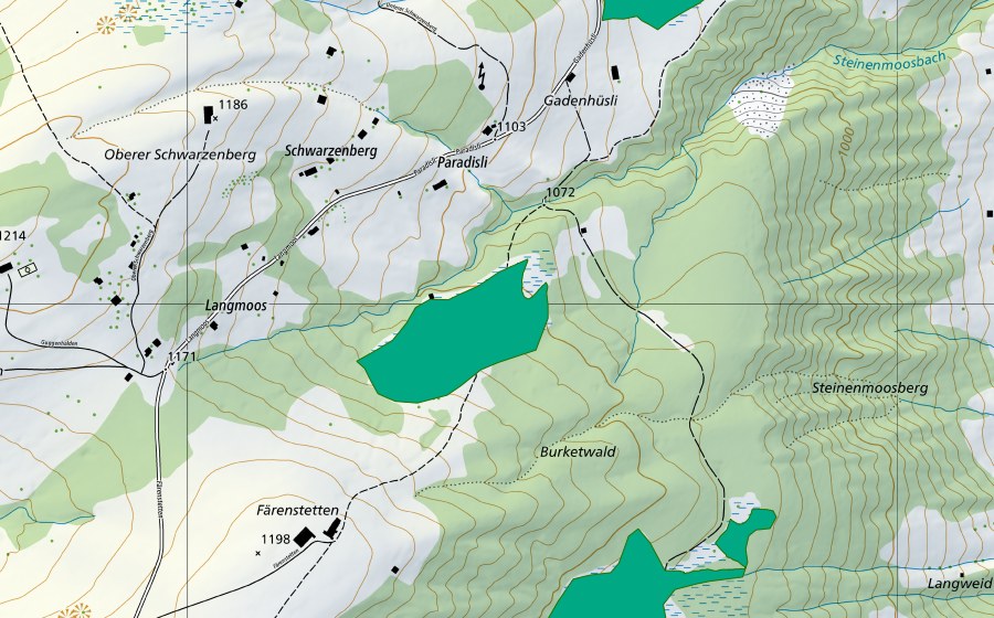 Landeskarte swisstopo mit dem Schutzperimeter von Forenmösli/Burketwald/Paradisli (Flachmoor)