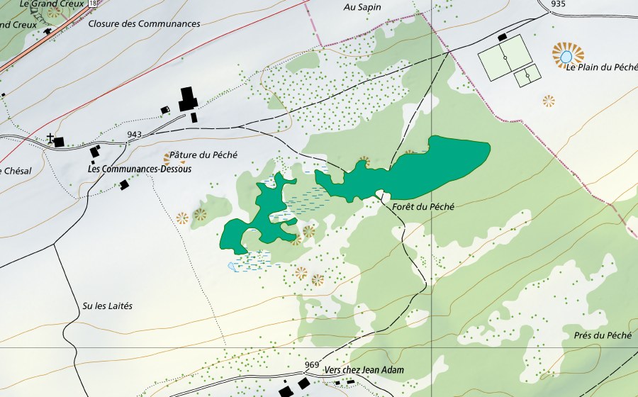 Carte nationale swisstopo avec le périmètre protégé de Forêt du Péché (Bas-marais)