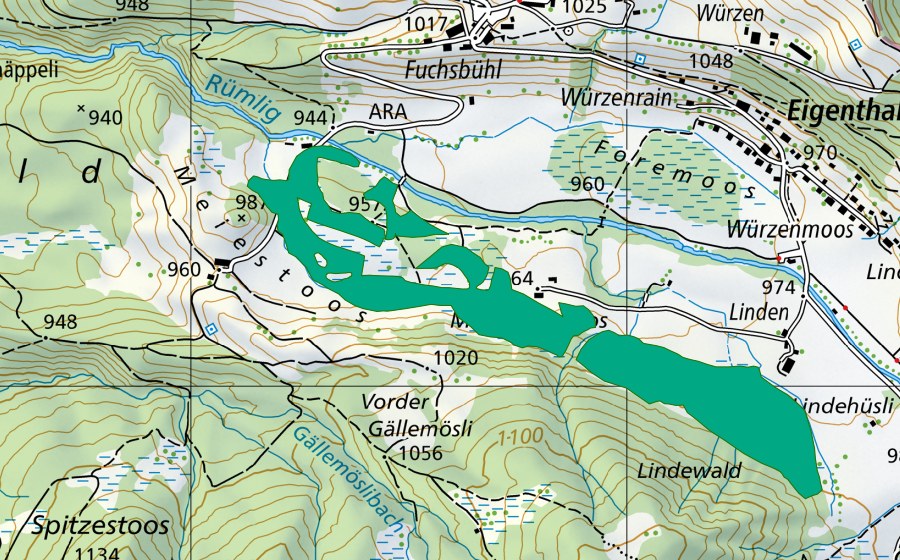 Carte nationale swisstopo avec le périmètre protégé de Forrenmoos/Meienstossmoos (Bas-marais)