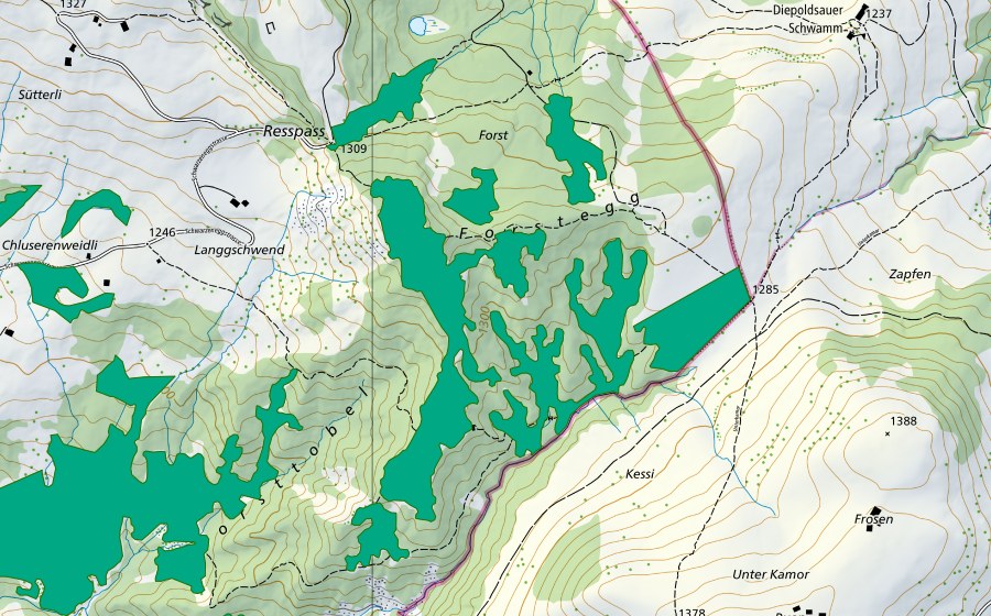 Landeskarte swisstopo mit dem Schutzperimeter von Forstegg (Flachmoor)