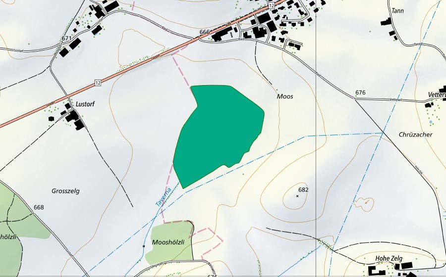 Landeskarte swisstopo mit dem Schutzperimeter von Fragnière-Moos (Flachmoor)