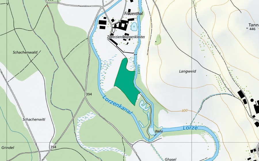 Carte nationale swisstopo avec le périmètre protégé de Frauental III (Bas-marais)