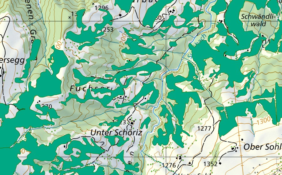 Carte nationale swisstopo avec le périmètre protégé de Fuchser (Bas-marais)