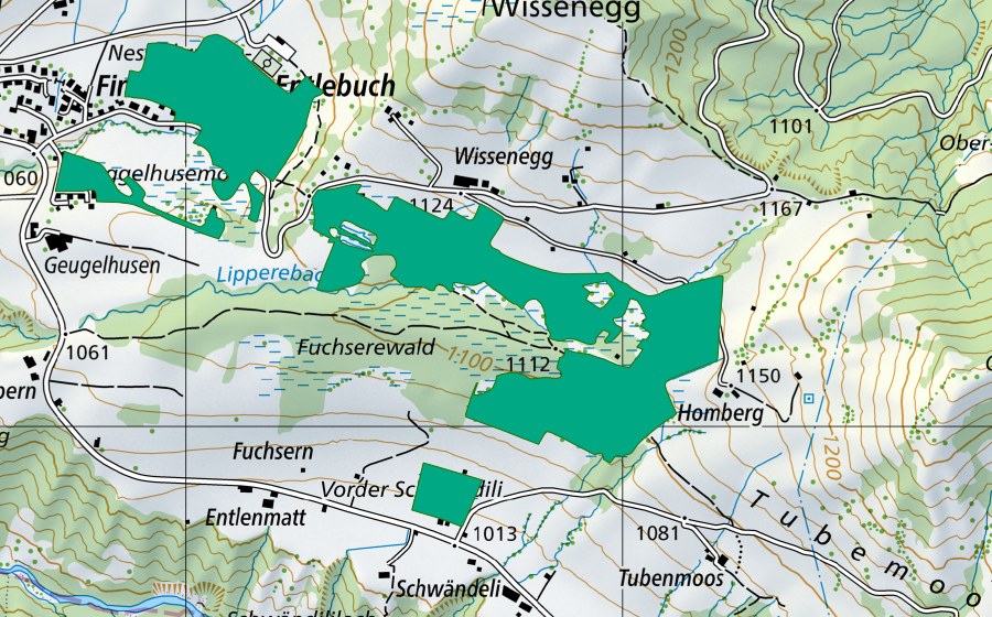 swisstopo national map showing the protected perimeter of Fuchserenmoos (Fen)