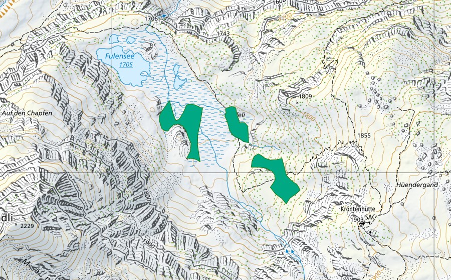 Carte nationale swisstopo avec le périmètre protégé de Fulensee (Bas-marais)