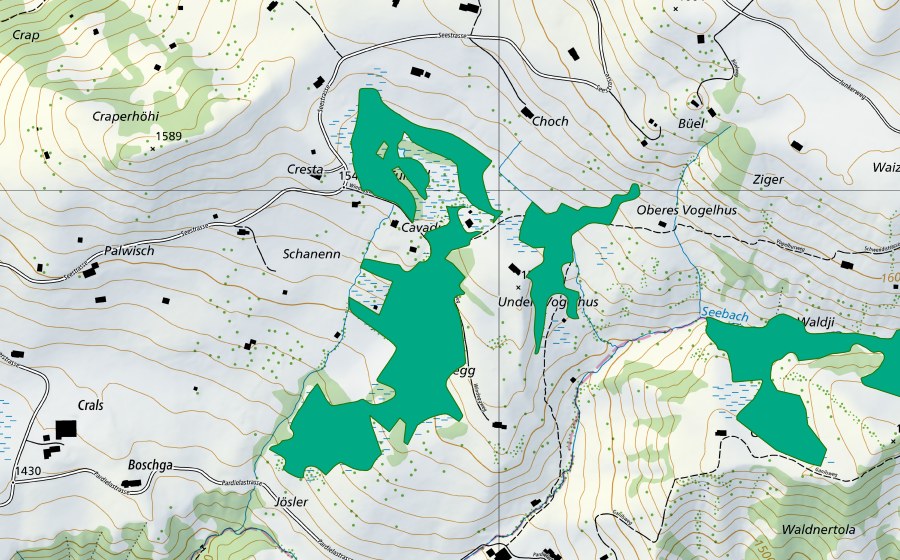 swisstopo national map showing the protected perimeter of Fulried am Stelserberg (Fen)