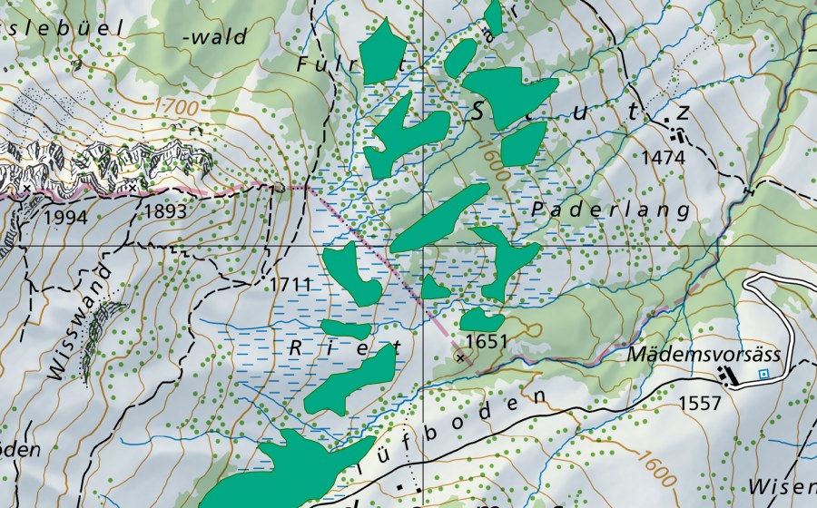 Carte nationale swisstopo avec le périmètre protégé de Fulriet/Mädems (Bas-marais)