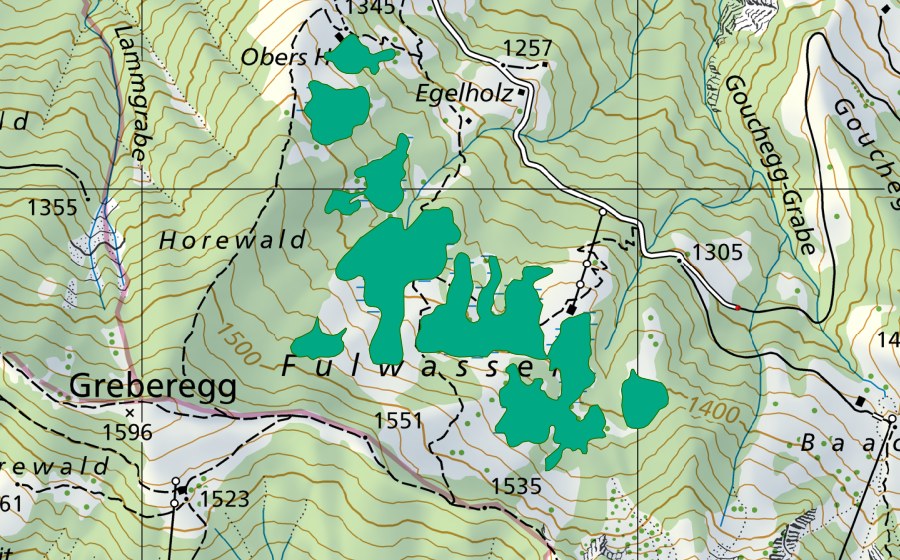 Carte nationale swisstopo avec le périmètre protégé de Fulwasser (Bas-marais)