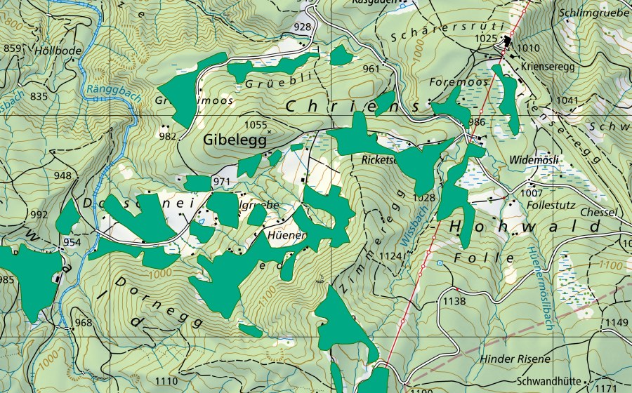 Landeskarte swisstopo mit dem Schutzperimeter von Furenmoos/Dorschnei (Flachmoor)