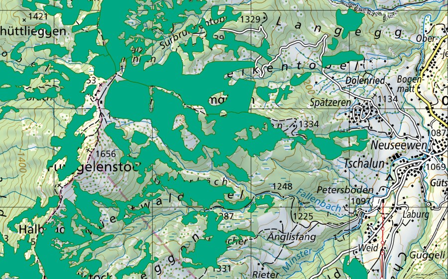 Landeskarte swisstopo mit dem Schutzperimeter von Furenwald (Flachmoor)