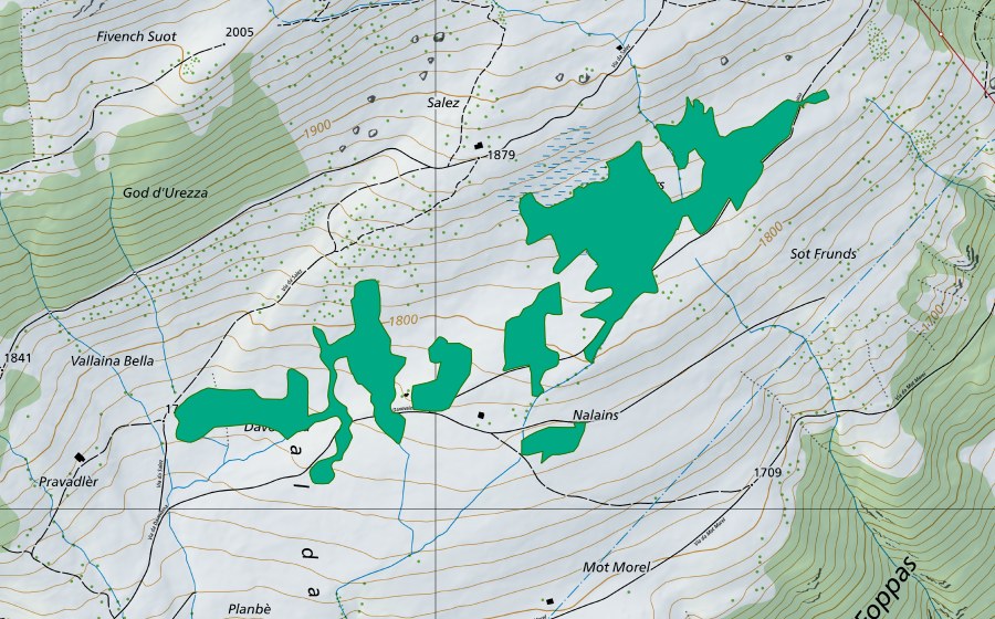 Carte nationale swisstopo avec le périmètre protégé de Furmièrs (Bas-marais)