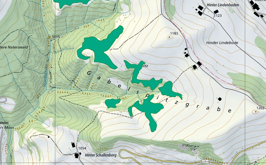 Landeskarte swisstopo mit dem Schutzperimeter von Gabelspitz (Flachmoor)
