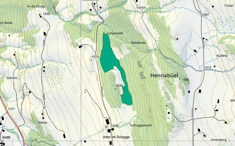 Carte nationale swisstopo avec le périmètre protégé de Gadenstatt (Bas-marais)