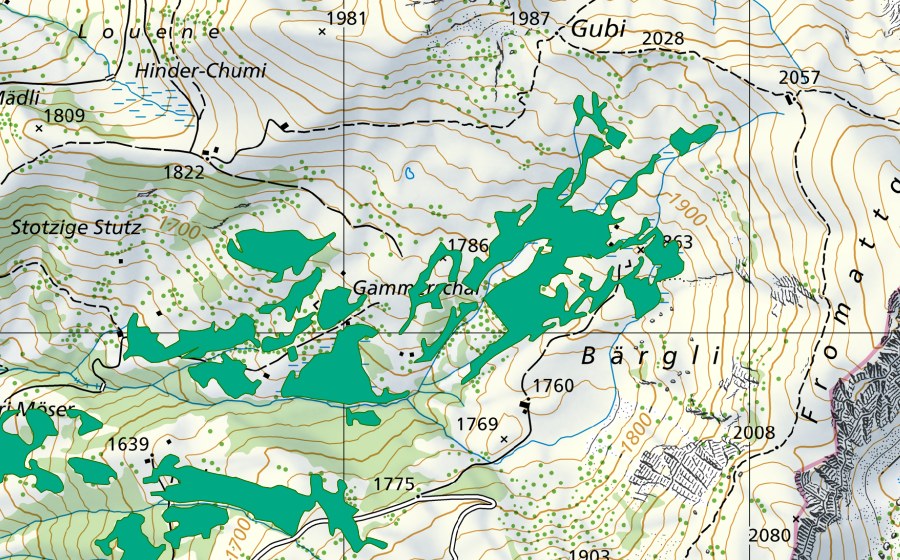 Landeskarte swisstopo mit dem Schutzperimeter von Gammerschal (Flachmoor)