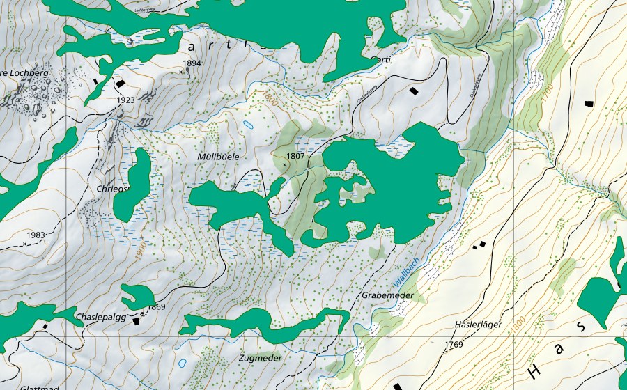 swisstopo national map showing the protected perimeter of Garti (Fen)