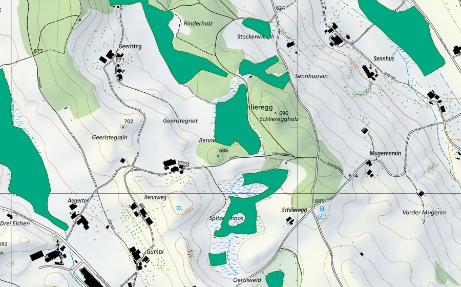 swisstopo national map showing the protected perimeter of Geeristegried/Spitzenmoos (Fen)