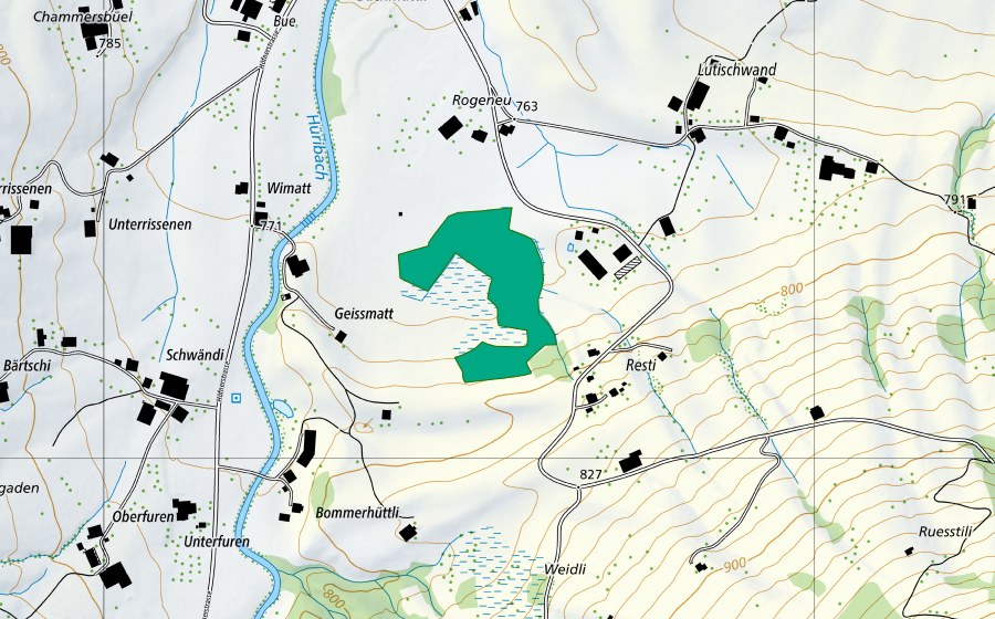Carte nationale swisstopo avec le périmètre protégé de Geissmatt (Bas-marais)