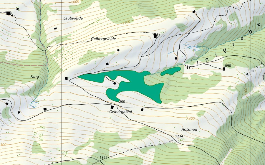 Carte nationale swisstopo avec le périmètre protégé de Gelbergallmi (Bas-marais)
