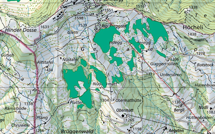 Landeskarte swisstopo mit dem Schutzperimeter von Gersauer Alp (Flachmoor)