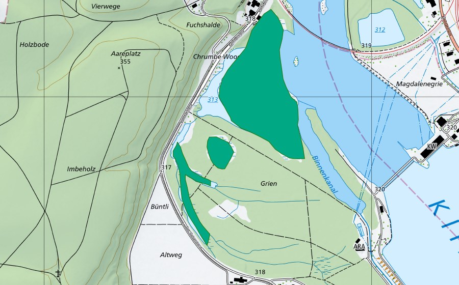 swisstopo national map showing the protected perimeter of Gippinger Grien (Fen)