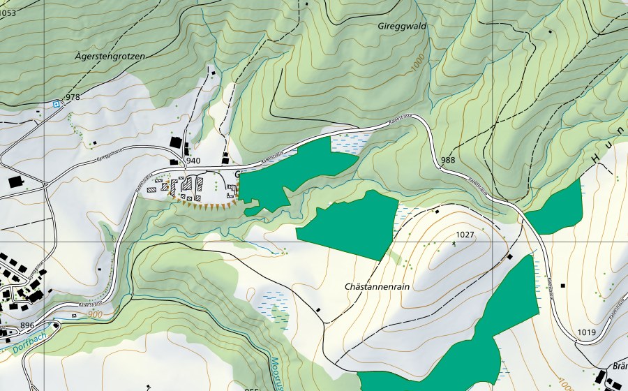 Carte nationale swisstopo avec le périmètre protégé de Giregg (Bas-marais)
