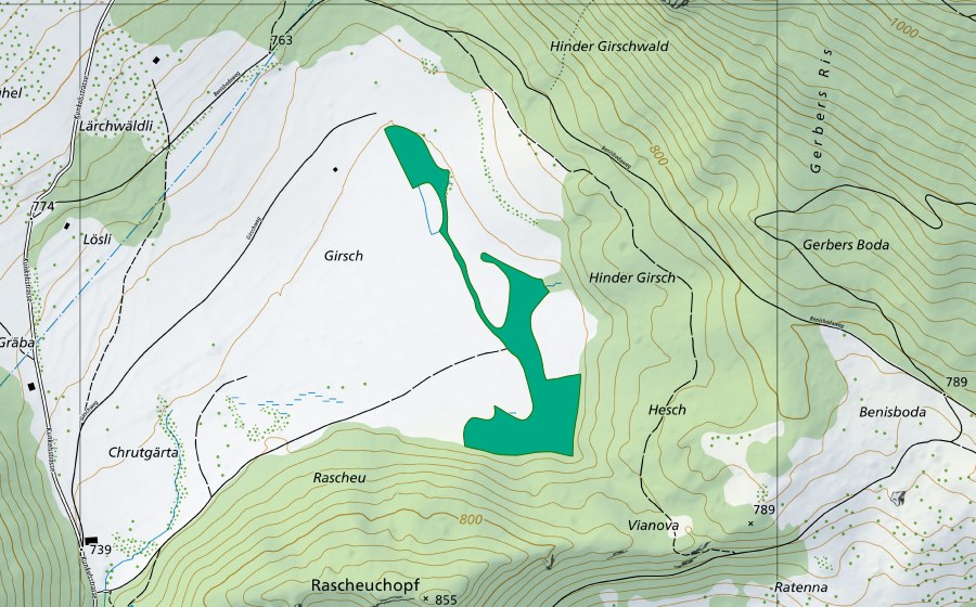 swisstopo national map showing the protected perimeter of Girsch (Fen)