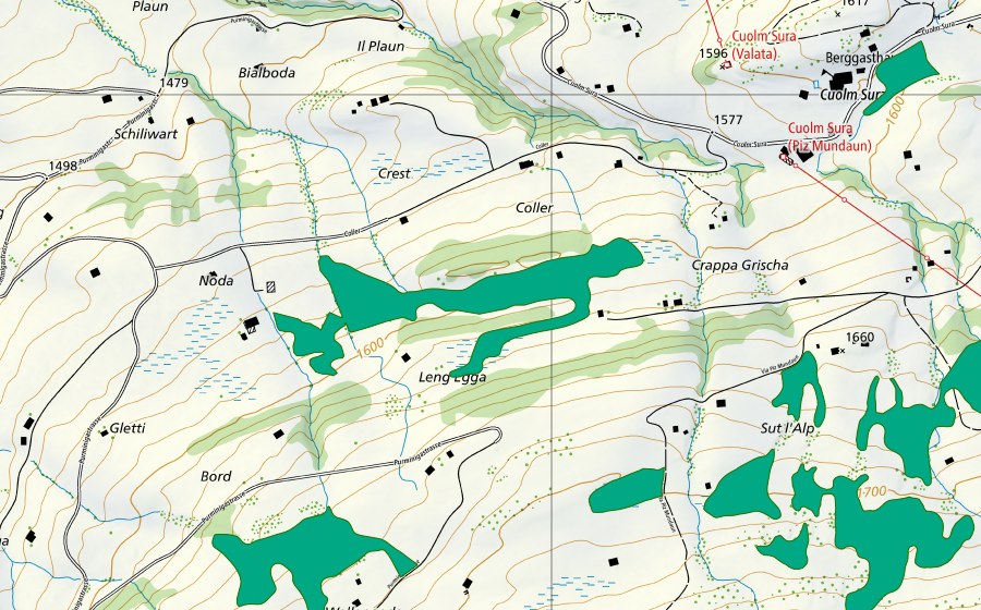 Carte nationale swisstopo avec le périmètre protégé de Gischniga (Bas-marais)