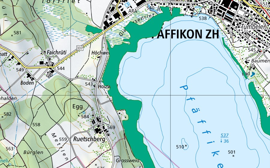 Landeskarte swisstopo mit dem Schutzperimeter von Giwitzenried/Bächliried (Flachmoor)