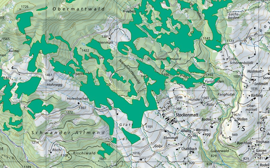 Landeskarte swisstopo mit dem Schutzperimeter von Glatt-Allmend (Flachmoor)