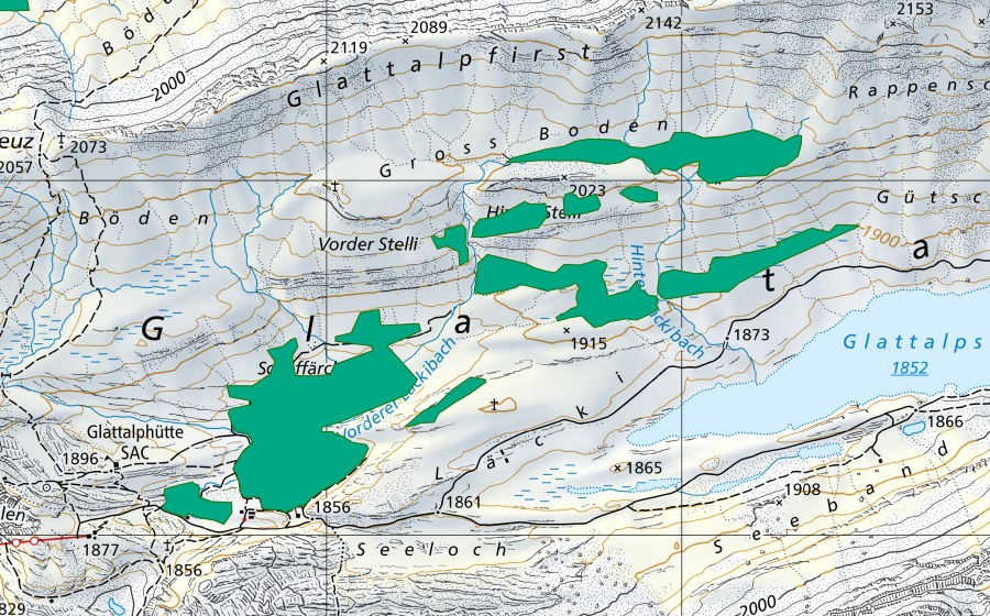 Landeskarte swisstopo mit dem Schutzperimeter von Glattalp (Flachmoor)