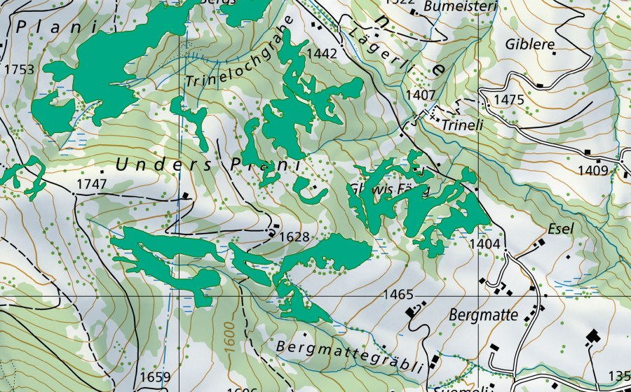 Carta nazionale swisstopo con il perimetro protetto di Glawis Fäng (Torbiera bassa)