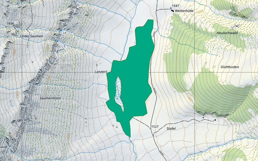 Carte nationale swisstopo avec le périmètre protégé de Gnappetriet (Bas-marais)