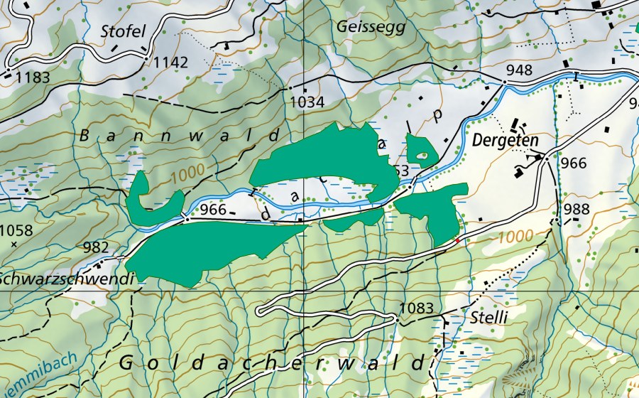 Carte nationale swisstopo avec le périmètre protégé de Goldach (Bas-marais)