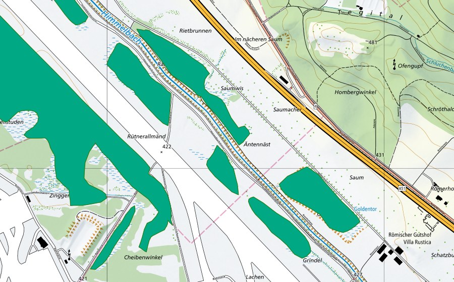 Carte nationale swisstopo avec le périmètre protégé de Goldenes Tor/Rüti Allmend (Bas-marais)