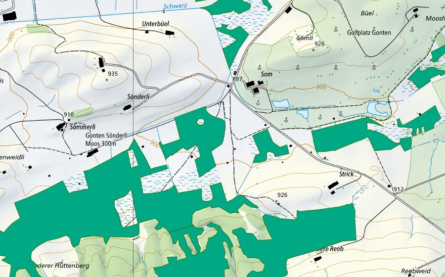 swisstopo national map showing the protected perimeter of Gontenmoos (Fen)