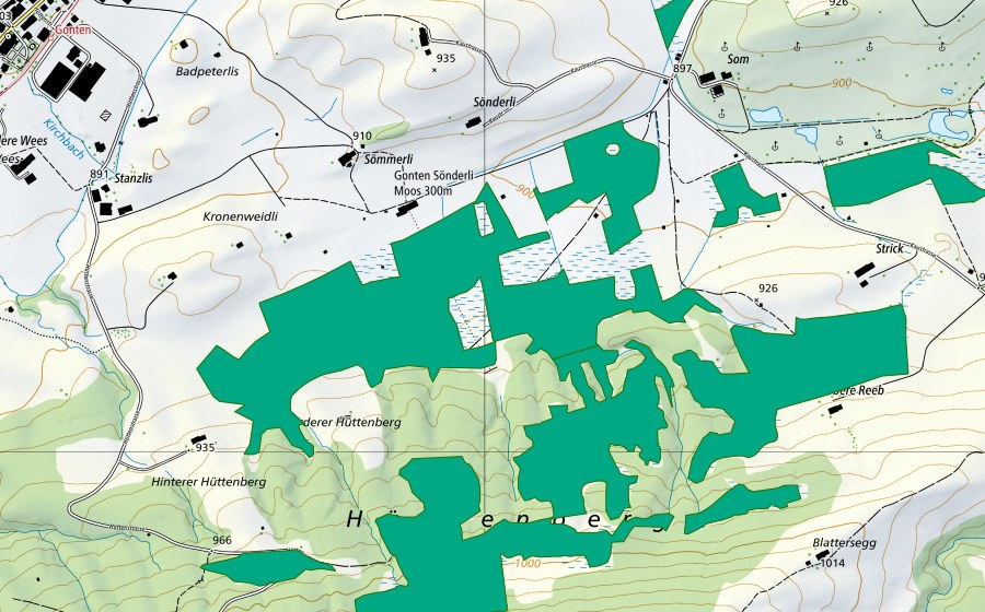 swisstopo national map showing the protected perimeter of Gontenmoos (Fen)
