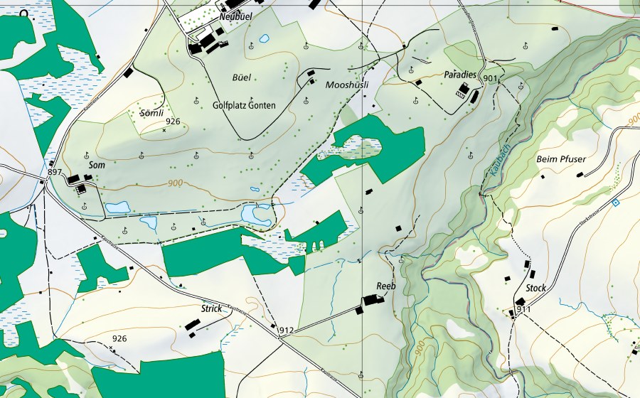 Carte nationale swisstopo avec le périmètre protégé de Gontenmoos (Bas-marais)