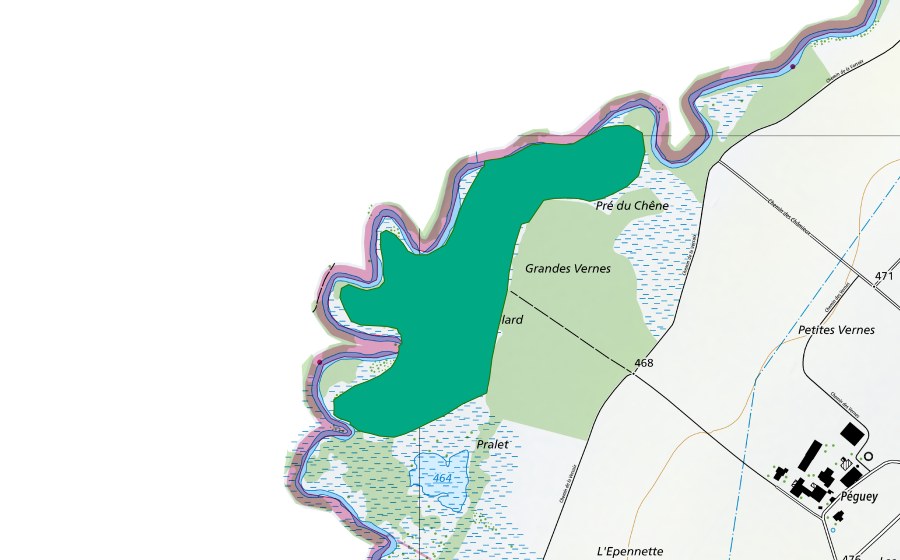 Carte nationale swisstopo avec le périmètre protégé de Grand Bataillard (Bas-marais)