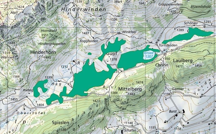 Carta nazionale swisstopo con il perimetro protetto di Gräppelen (Torbiera bassa)
