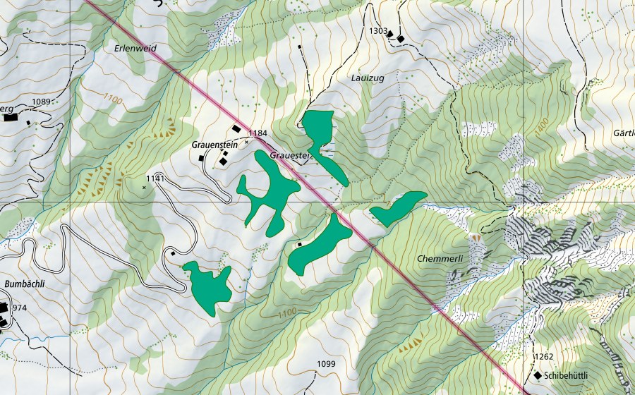 Landeskarte swisstopo mit dem Schutzperimeter von Grauestei (Flachmoor)