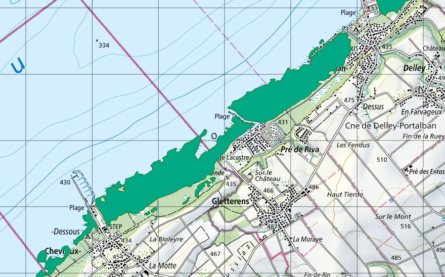 Landeskarte swisstopo mit dem Schutzperimeter von Grèves du lac (Flachmoor)