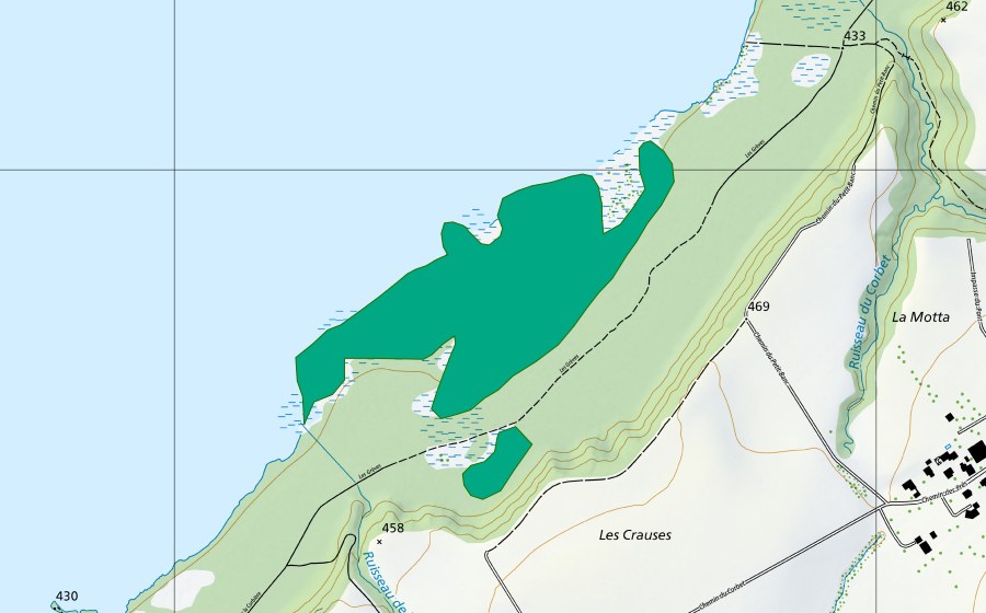 Carte nationale swisstopo avec le périmètre protégé de Grèves du lac (Bas-marais)