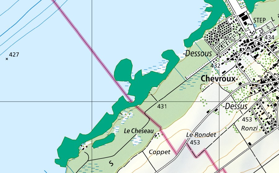 Carta nazionale swisstopo con il perimetro protetto di Grèves du lac (Torbiera bassa)