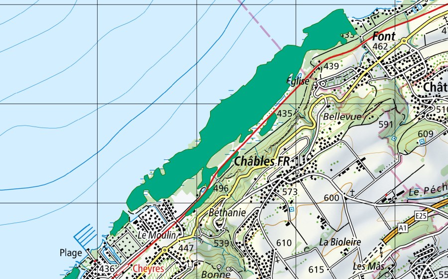 swisstopo national map showing the protected perimeter of Grèves du lac (Fen)