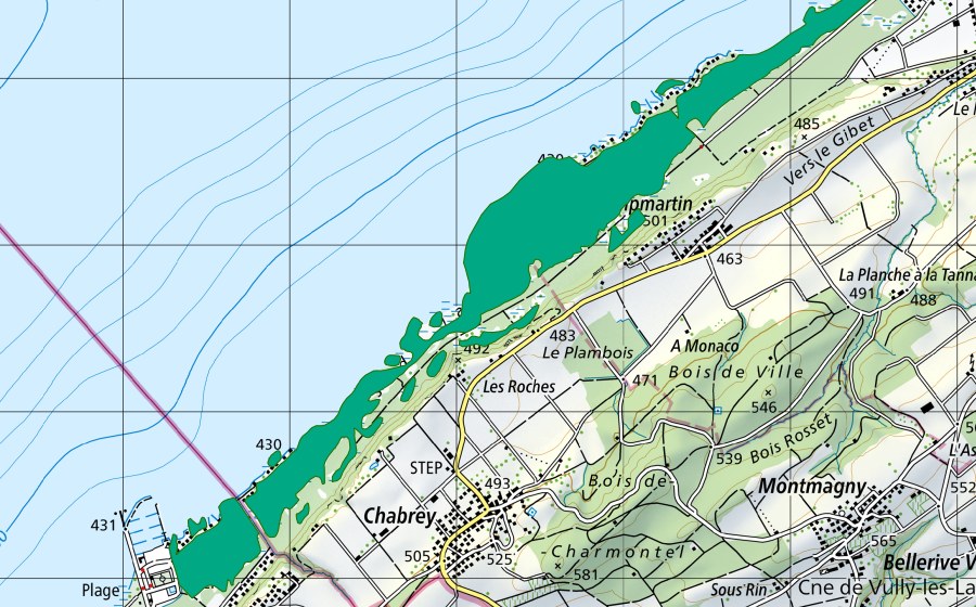 swisstopo national map showing the protected perimeter of Grèves du lac (Fen)