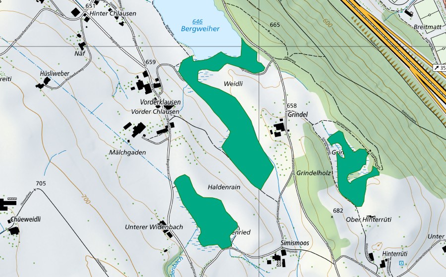 Landeskarte swisstopo mit dem Schutzperimeter von Grindel (Flachmoor)