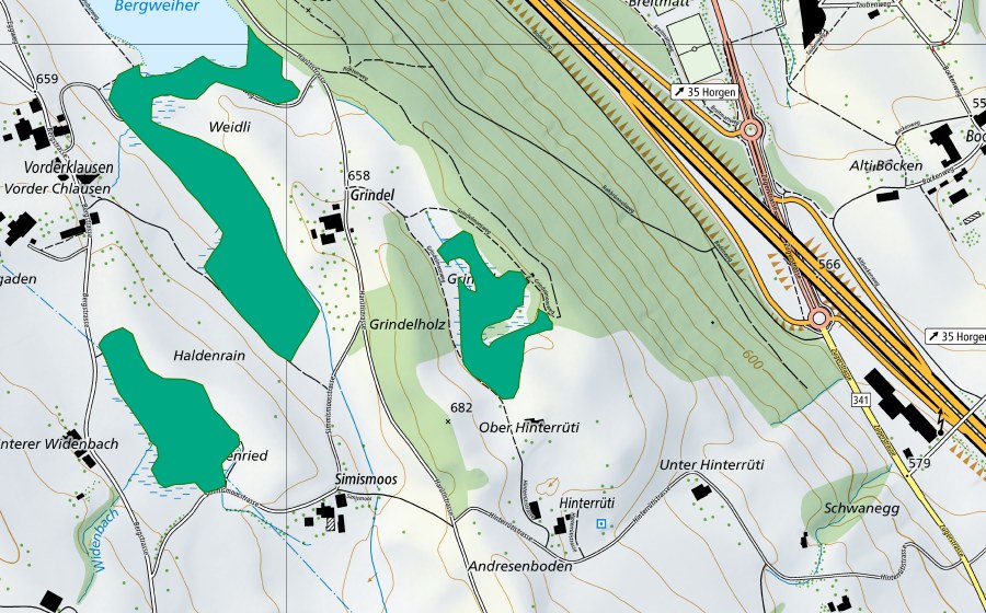 Carta nazionale swisstopo con il perimetro protetto di Grindelmoos (Torbiera bassa)