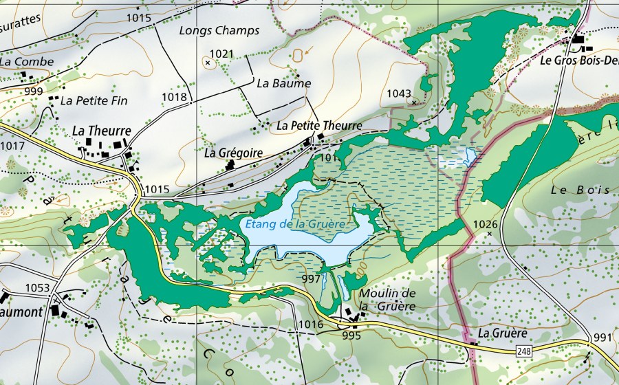 Landeskarte swisstopo mit dem Schutzperimeter von Gros Bois Derrière (Flachmoor)