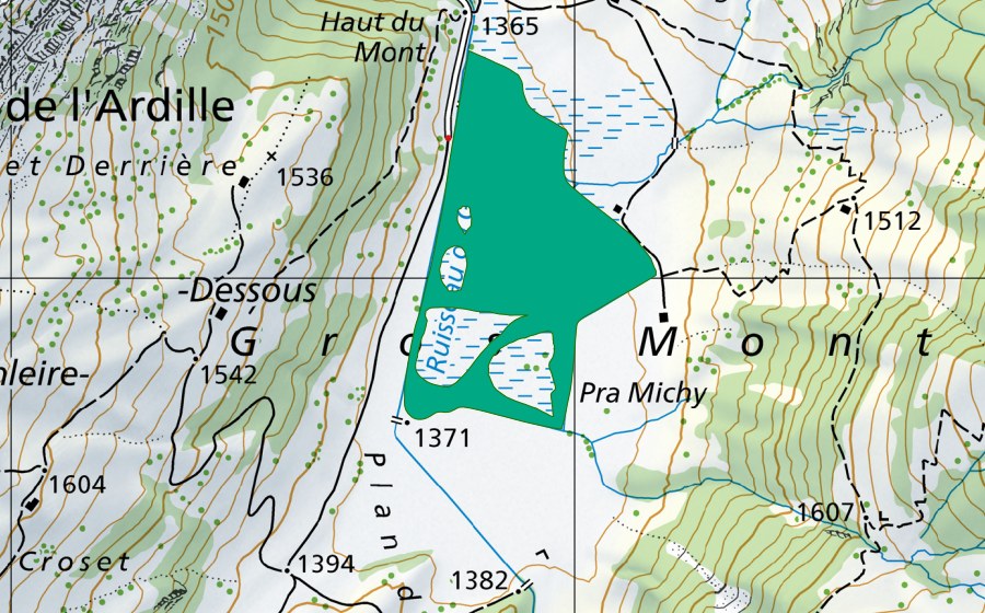 Carte nationale swisstopo avec le périmètre protégé de Gros Mont (Bas-marais)