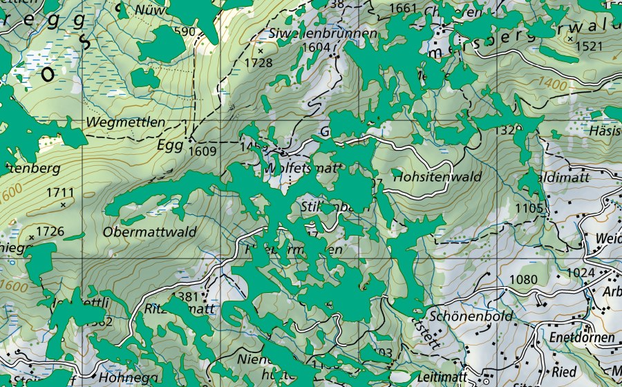 Carte nationale swisstopo avec le périmètre protégé de Gross Lucht (Bas-marais)